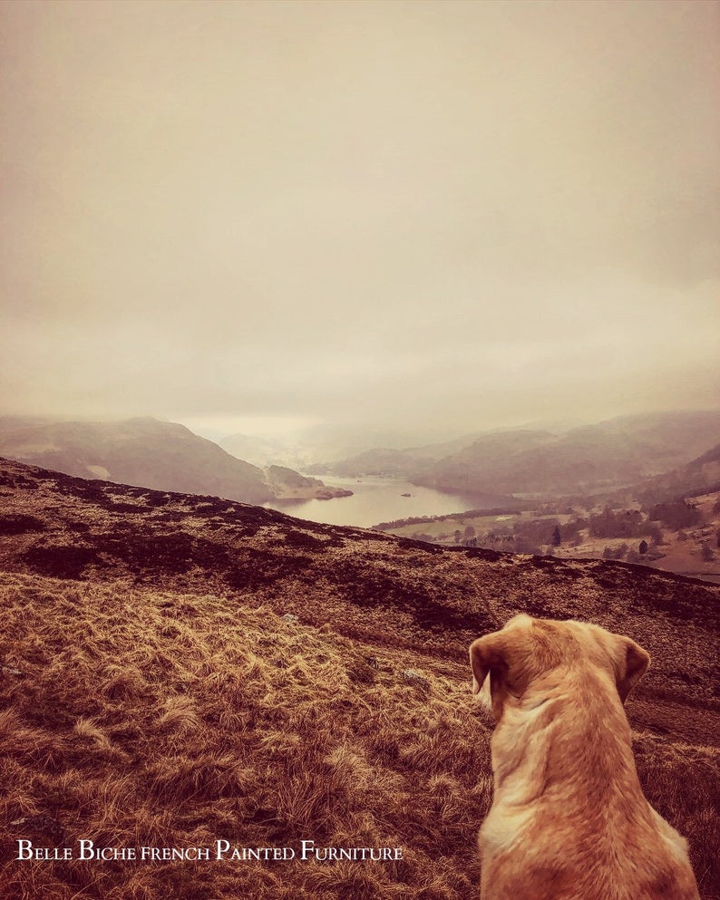 George III Style Four Drawer Mahogany Side Table