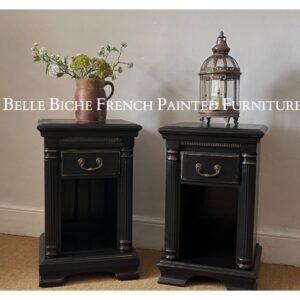 Exquisite Neoclassical Style Set of Parisian Noir Nightstands