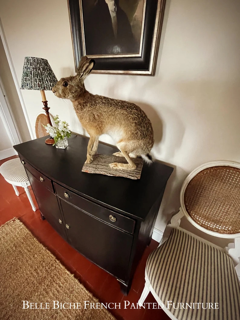 Elegant George III Style Parisian Noir Two Door Bow Fronted Sideboard Side Cabinet