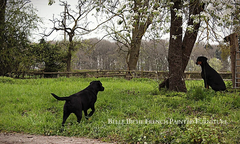 Elegant George III Style Parisian Noir Two Door Bow Fronted Sideboard Side Cabinet