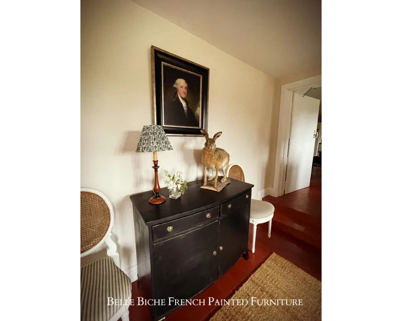 Elegant George III Style Parisian Noir Two Door Bow Fronted Sideboard Side Cabinet