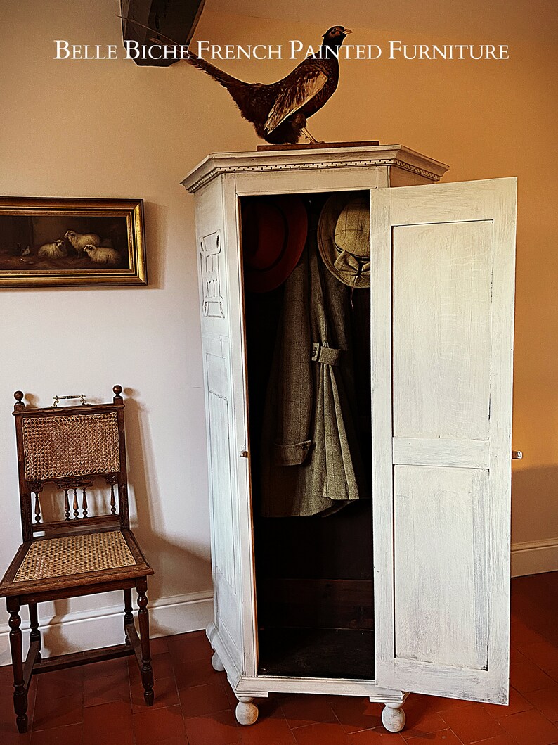 Single Door Hall Robe