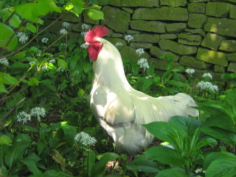 Slim Line Side Table